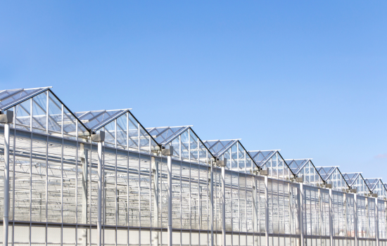 2025 Horticulture Lighting Industry And Ledestar Solution