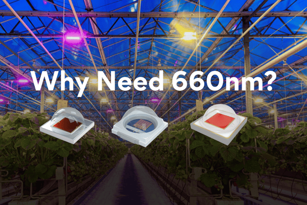 What Is The Function of 660nm LED In Horticulture Lighting?