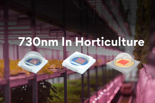 How Does Far Red 730nm Affect Plant Growth?