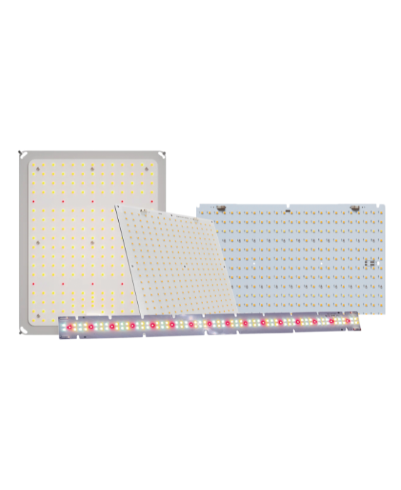 Customization Module