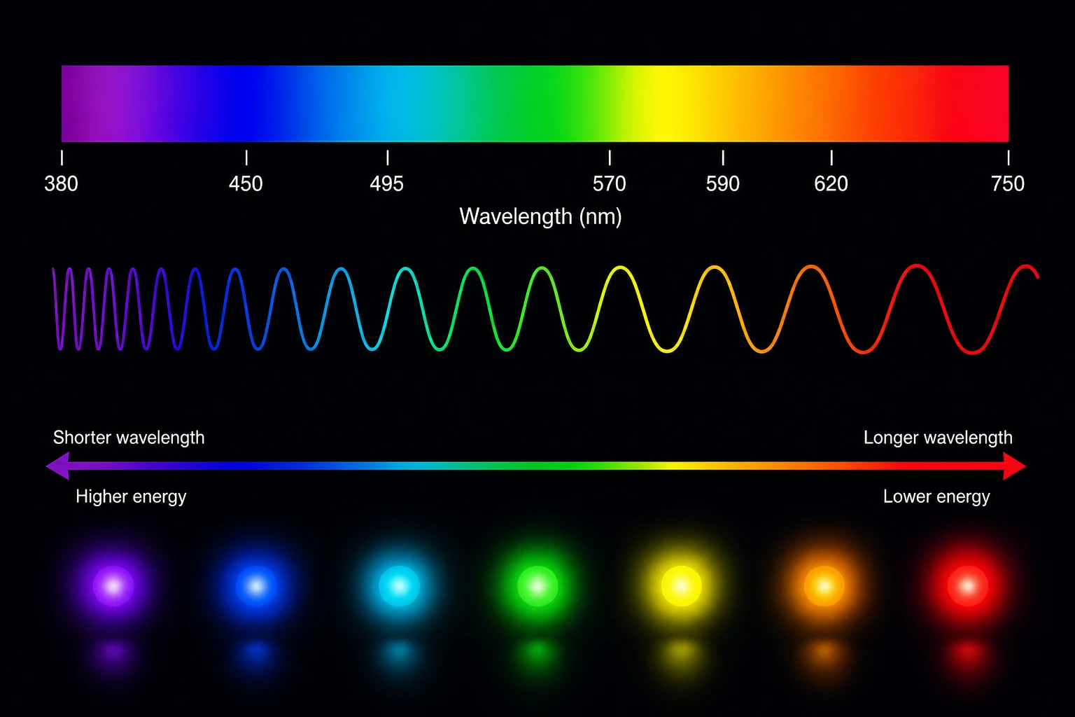 Which Color of Visible Light Has the Shortest Wavelength