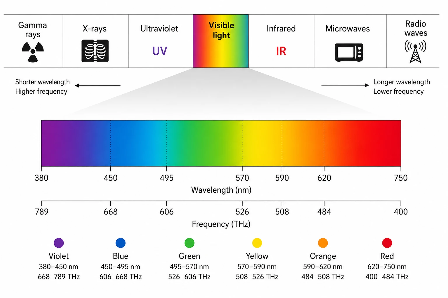 What Are the Frequency and Wavelength Ranges of Visible Light