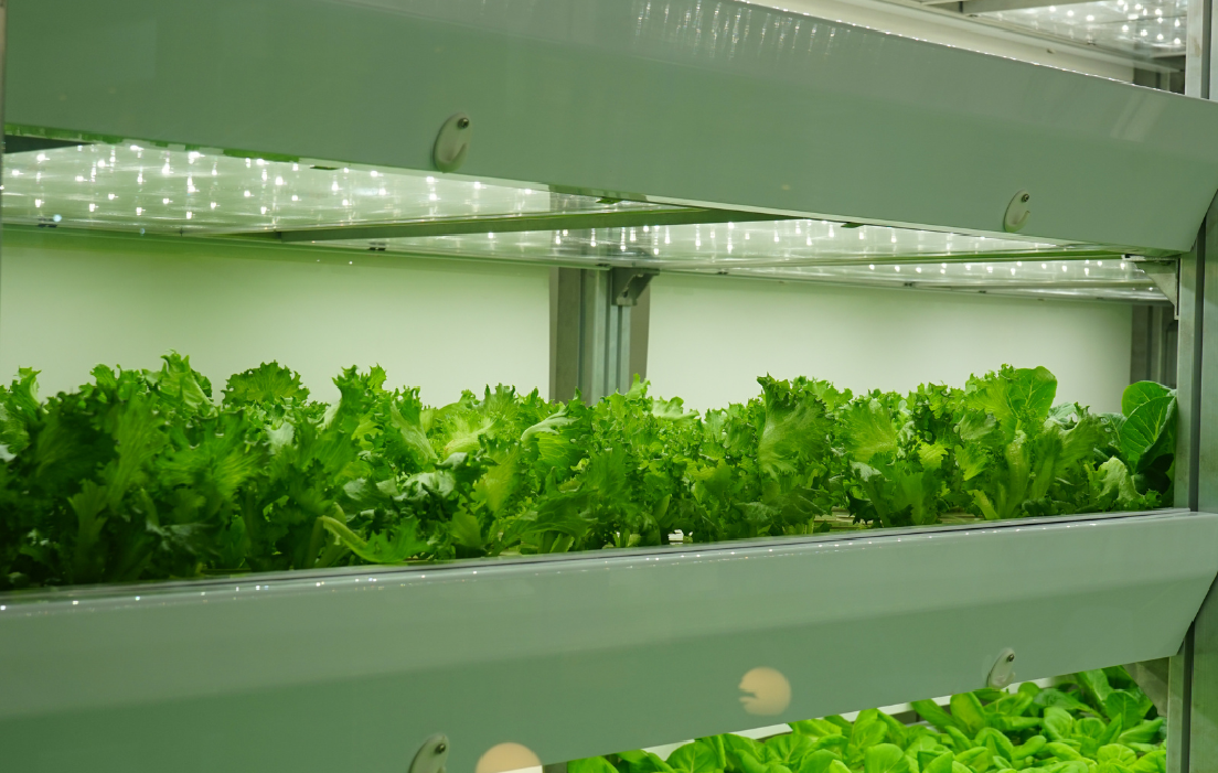 1759045687256815.png 矩形 501@1x.png