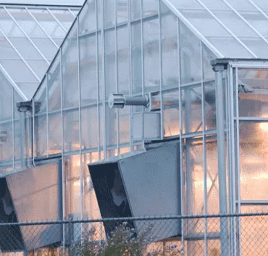 greenhouse.png