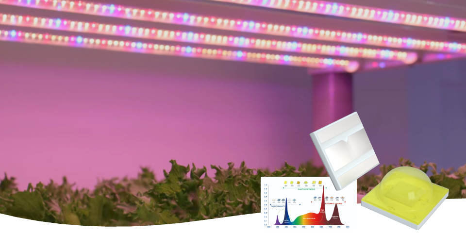 1760078871232479.png 组 123@1x (3).png