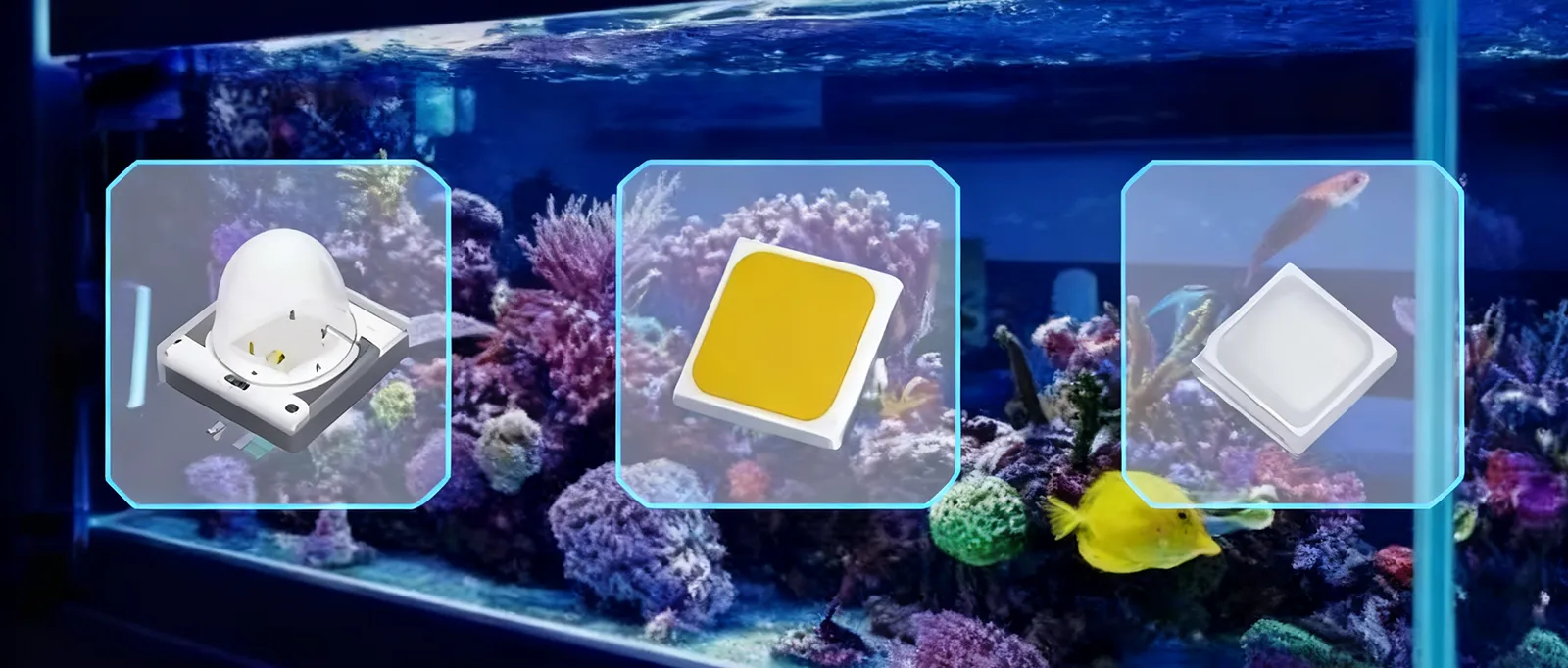 1761215395534070.webp image (1).webp