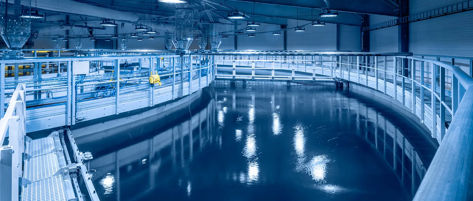 1761215404598147.webp image (3).webp