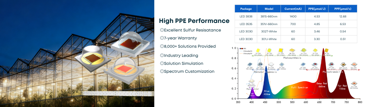 outdoor lighting (8).png