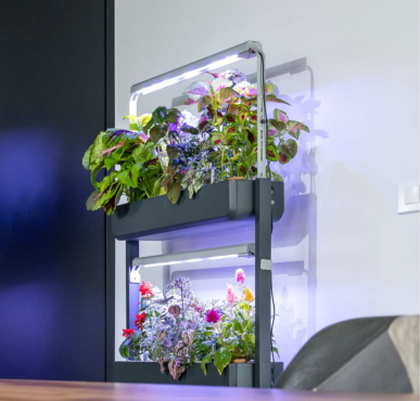 ornamental grow light.png