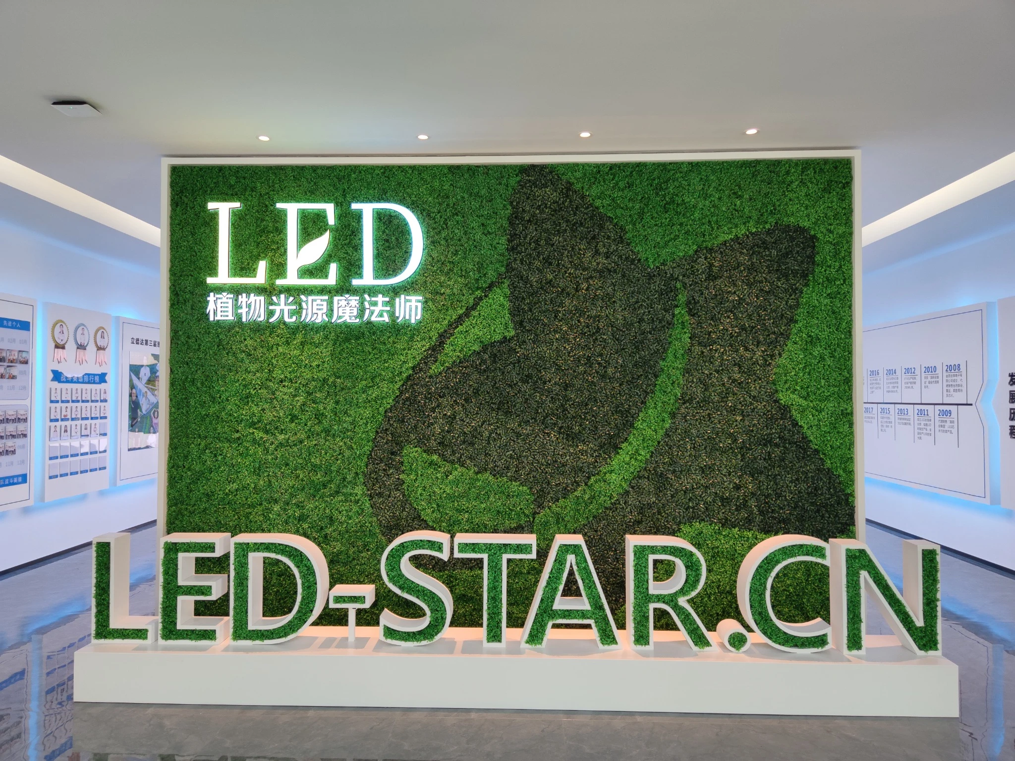 LED-STAR.webp